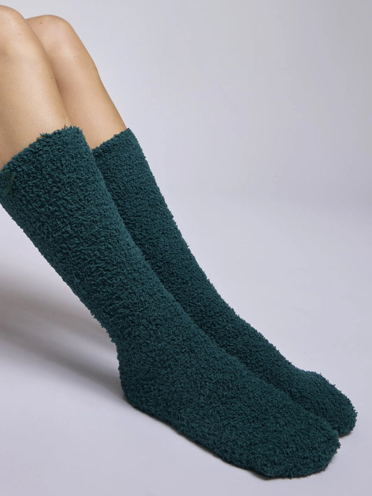 TEDDY SOCKS